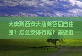 大庆到西安大唐芙蓉园自由团？怎么安排行程？需要准备什么？费用大概是多少？