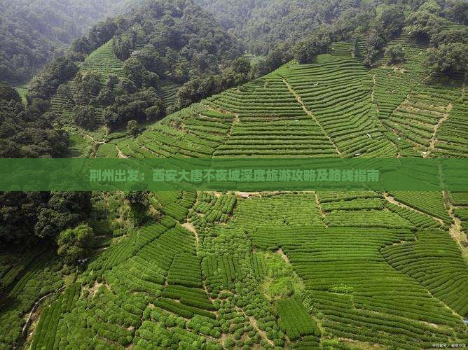 荆州出发：西安大唐不夜城深度旅游攻略及路线指南