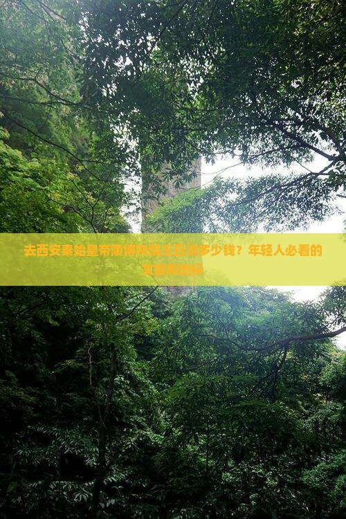 去西安秦始皇帝陵博物院三日游多少钱？年轻人必看的文旅新地标