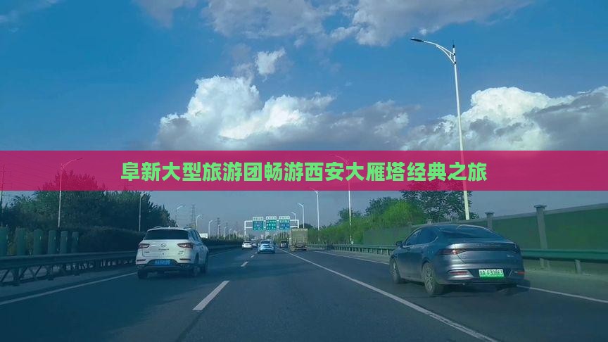 阜新大型旅游团畅游西安大雁塔经典之旅