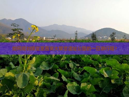 如何规划保定至西安大明宫遗址公园的一日游行程？