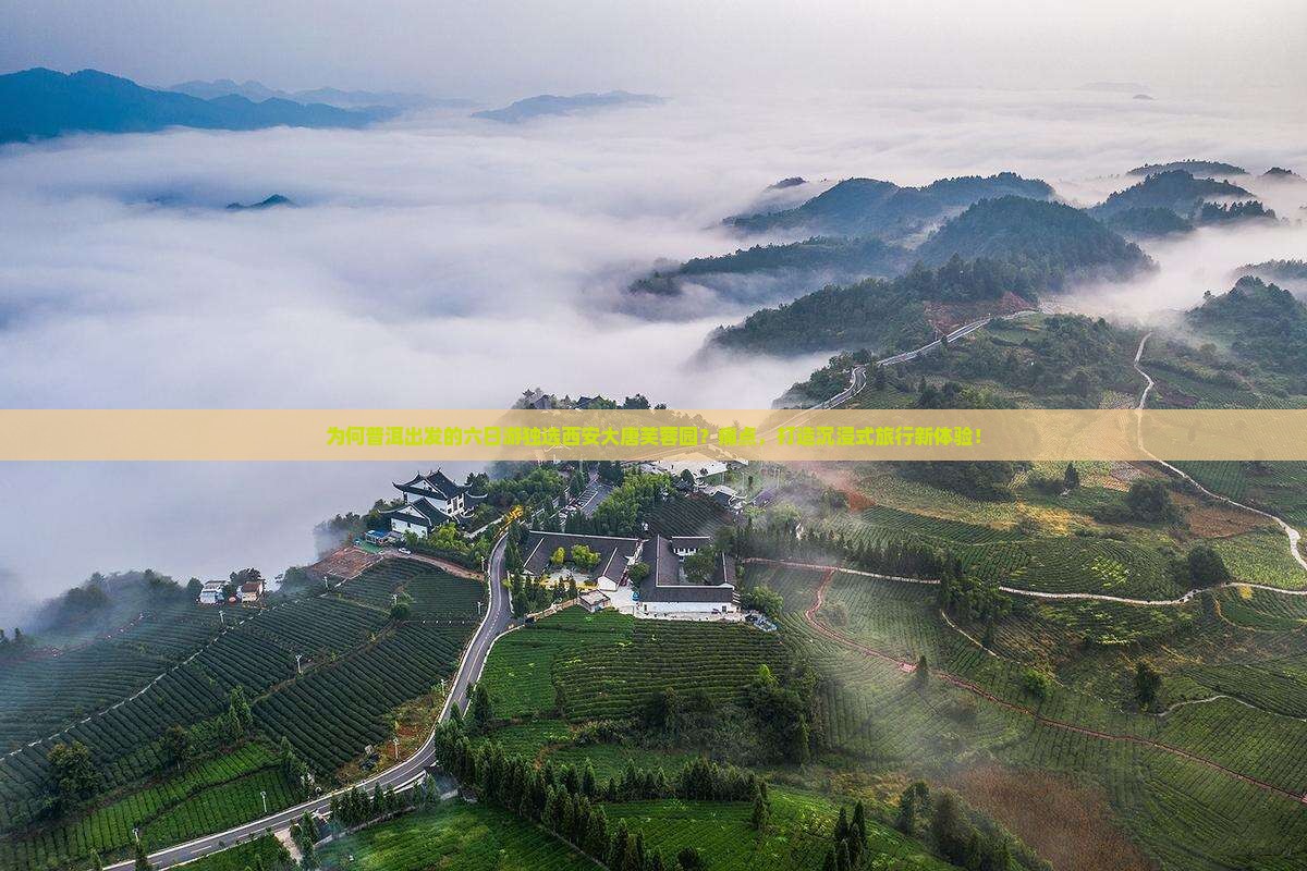 为何普洱出发的六日游独选西安大唐芙蓉园？痛点，打造沉浸式旅行新体验！