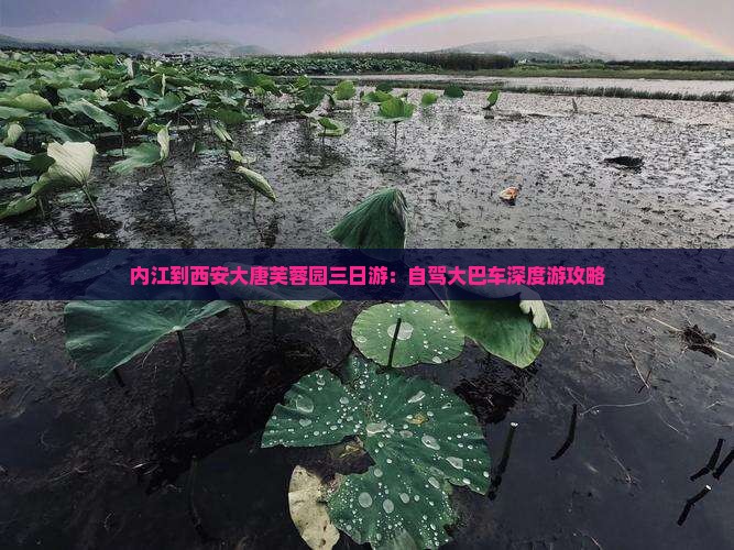 内江到西安大唐芙蓉园三日游：自驾大巴车深度游攻略