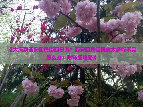 《大庆到西安回民街四日游？西安回民街美食太多吃不完怎么办？附详细攻略》
