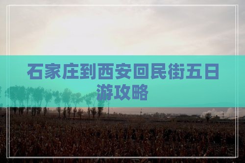 石家庄到西安回民街五日游攻略