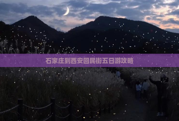 石家庄到西安回民街五日游攻略