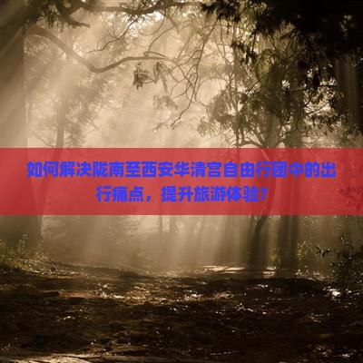 如何解决陇南至西安华清宫自由行团中的出行痛点，提升旅游体验？