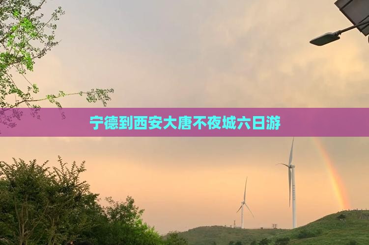 宁德到西安大唐不夜城六日游