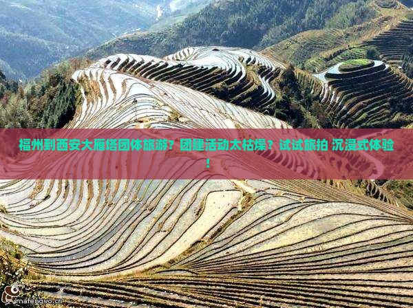 福州到西安大雁塔团体旅游？团建活动太枯燥？试试旅拍+沉浸式体验！