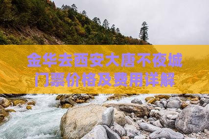 金华去西安大唐不夜城门票价格及费用详解