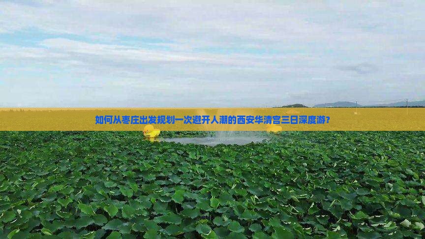 如何从枣庄出发规划一次避开人潮的西安华清宫三日深度游？