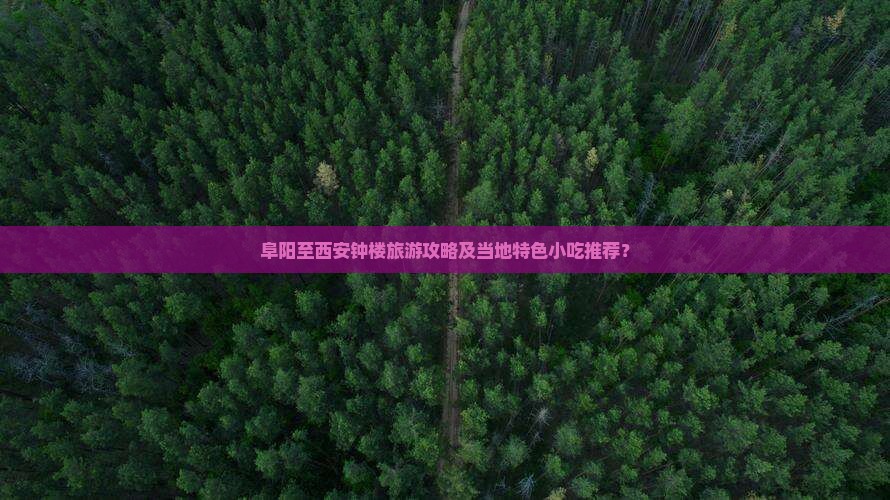 阜阳至西安钟楼旅游攻略及当地特色小吃推荐？