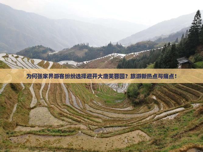 为何张家界游客纷纷选择避开大唐芙蓉园？旅游新热点与痛点！