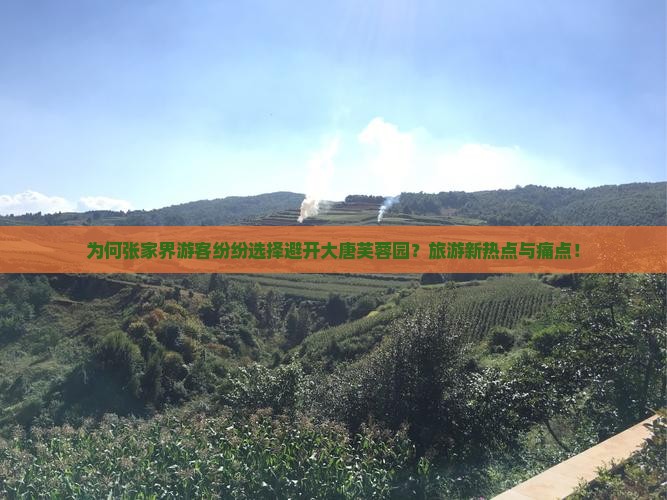 为何张家界游客纷纷选择避开大唐芙蓉园？旅游新热点与痛点！