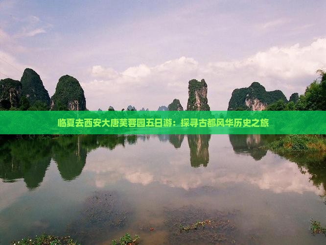 临夏去西安大唐芙蓉园五日游：探寻古都风华历史之旅