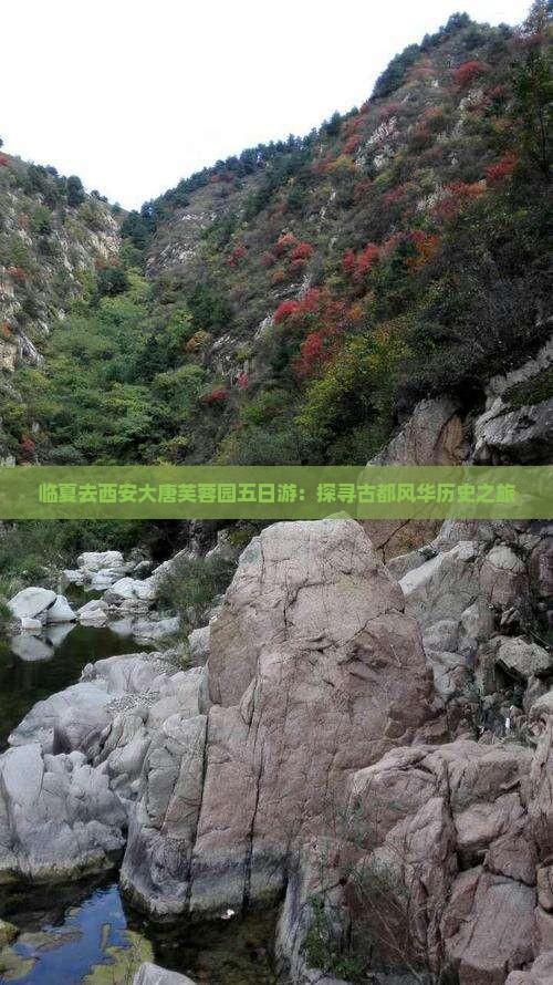 临夏去西安大唐芙蓉园五日游：探寻古都风华历史之旅