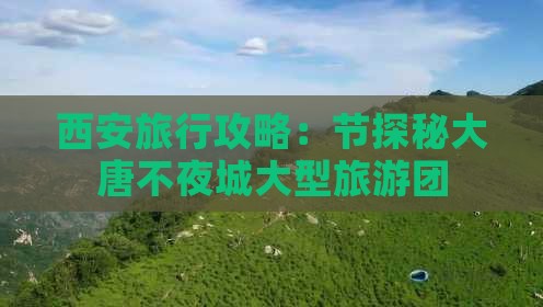 西安旅行攻略：节探秘大唐不夜城大型旅游团