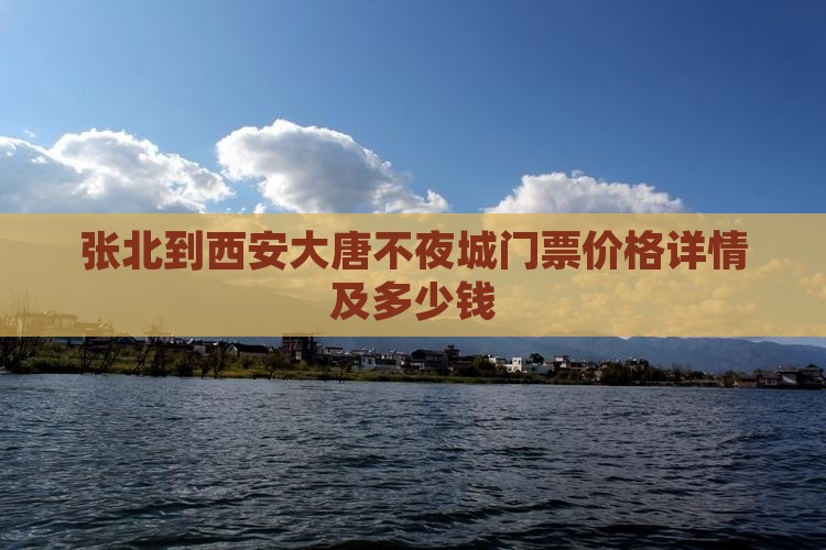 张北到西安大唐不夜城门票价格详情及多少钱