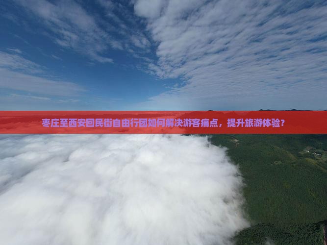 枣庄至西安回民街自由行团如何解决游客痛点，提升旅游体验？