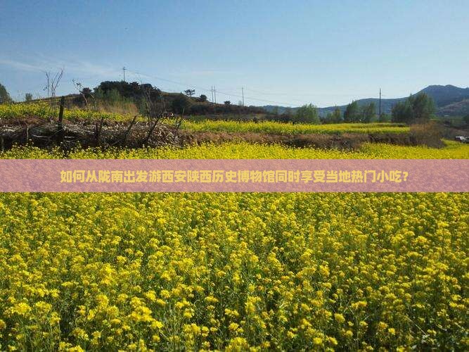 如何从陇南出发游西安陕西历史博物馆同时享受当地热门小吃？