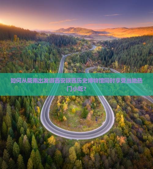 如何从陇南出发游西安陕西历史博物馆同时享受当地热门小吃？