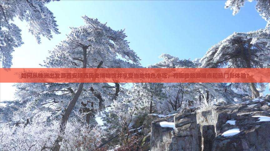 如何从株洲出发游西安陕西历史博物馆并享受当地特色小吃，有哪些旅游痛点和热门新体验？