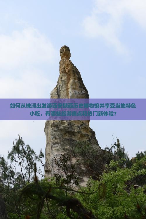 如何从株洲出发游西安陕西历史博物馆并享受当地特色小吃，有哪些旅游痛点和热门新体验？