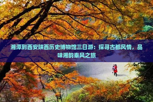 湘潭到西安陕西历史博物馆三日游：探寻古都风情，品味湘韵秦风之旅