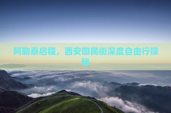 阿勒泰启程，西安回民街深度自由行探秘