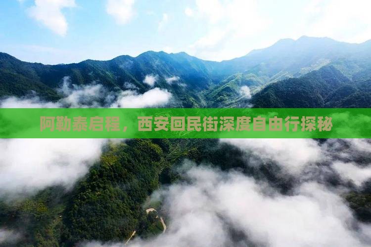 阿勒泰启程，西安回民街深度自由行探秘