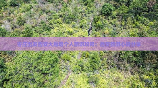 枣庄出发西安大雁塔个人旅游攻略：西安旅游心得分享
