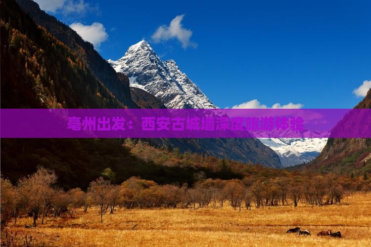 亳州出发：西安古城墙深度旅游体验