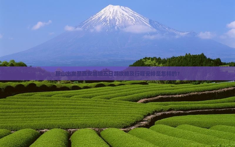 鞍山出发至西安城墙五日游攻略及行程安排是怎样的？