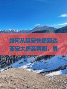 如何从延安快捷到达西安大唐芙蓉园，解决游客交通痛点？