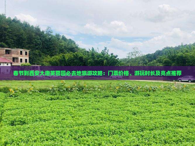 春节到西安大唐芙蓉园必去地旅游攻略：门票价格、游玩时长及亮点推荐