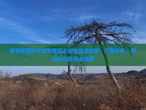 春节到西安大唐芙蓉园必去地旅游攻略：门票价格、游玩时长及亮点推荐