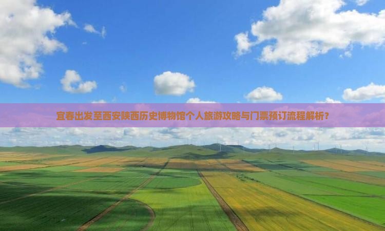 宜春出发至西安陕西历史博物馆个人旅游攻略与门票预订流程解析？