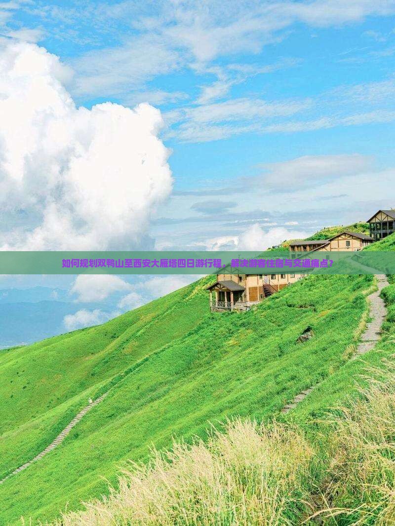 如何规划双鸭山至西安大雁塔四日游行程，解决游客住宿与交通痛点？
