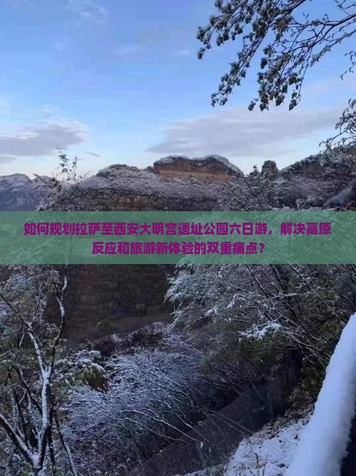 如何规划拉萨至西安大明宫遗址公园六日游，解决高原反应和旅游新体验的双重痛点？