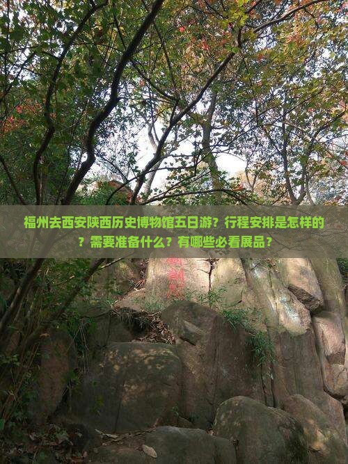 福州去西安陕西历史博物馆五日游？行程安排是怎样的？需要准备什么？有哪些必看展品？