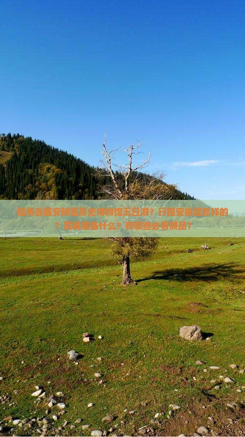 福州去西安陕西历史博物馆五日游？行程安排是怎样的？需要准备什么？有哪些必看展品？
