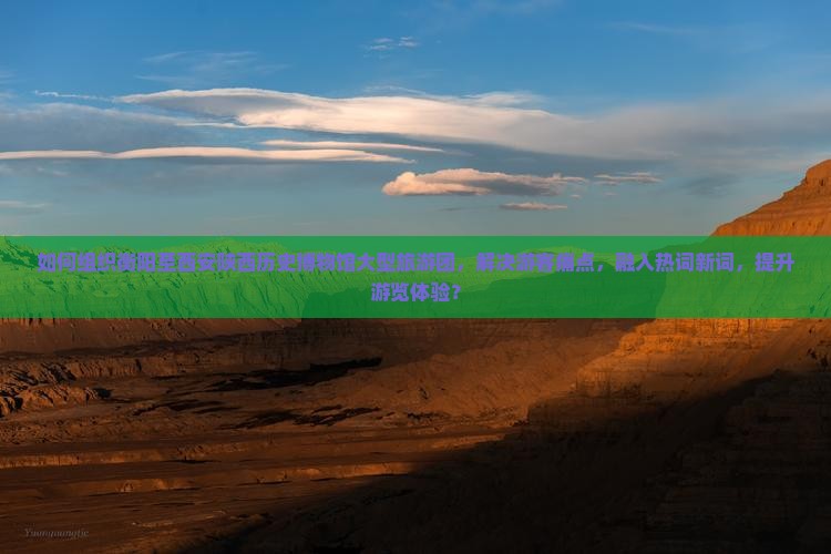如何组织衡阳至西安陕西历史博物馆大型旅游团，解决游客痛点，融入热词新词，提升游览体验？
