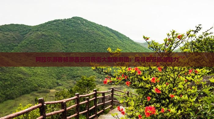 阿拉尔游客畅游西安回民街大型旅游团：探寻西安旅游魅力
