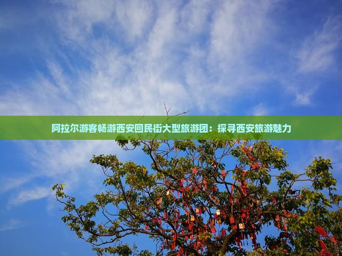 阿拉尔游客畅游西安回民街大型旅游团：探寻西安旅游魅力
