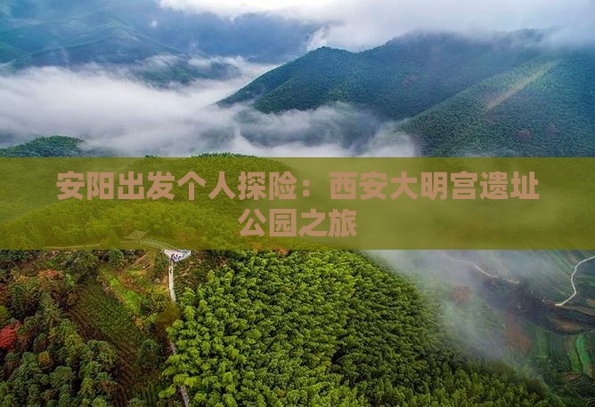 安阳出发个人探险：西安大明宫遗址公园之旅
