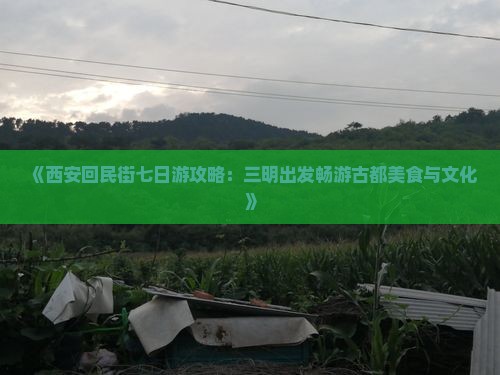 《西安回民街七日游攻略：三明出发畅游古都美食与文化》