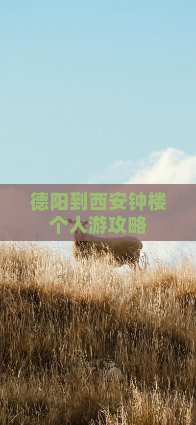 德阳到西安钟楼个人游攻略