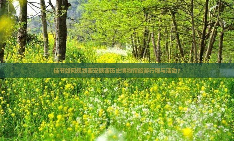 佳节如何规划西安陕西历史博物馆旅游行程与活动？