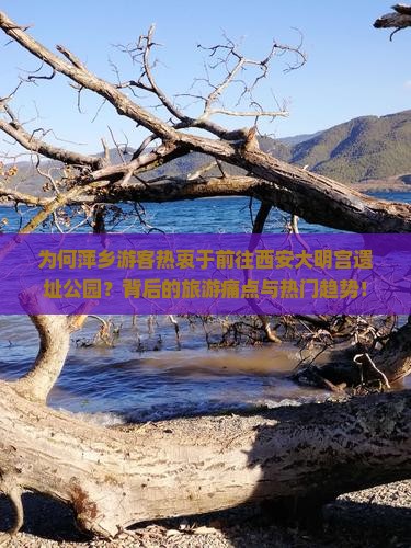 为何萍乡游客热衷于前往西安大明宫遗址公园？背后的旅游痛点与热门趋势！
