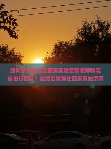 如何参加盐城至西安秦始皇帝陵博物院自由行团队？盐城出发前往西安秦始皇帝陵博物院有哪些行程推荐？